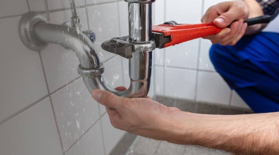 Professional Leak Detection services in Skidmore, TX